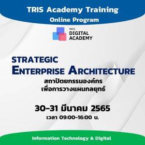 STRATEGIC ENTERPRISE ARCHITECTURE สถาปัตยกรรมองค์กรเพื่อการวางแผนกลยุทธ์