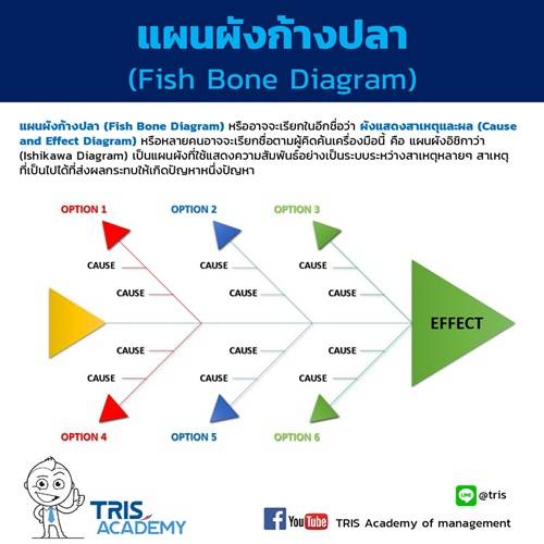แผนผังก้างปลา (Fish Bone Diagram) - TRIS Corporation