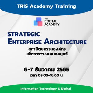 STRATEGIC ENTERPRISE ARCHITECTURE สถาปัตยกรรมองค์กรเพื่อการวางแผนกลยุทธ์