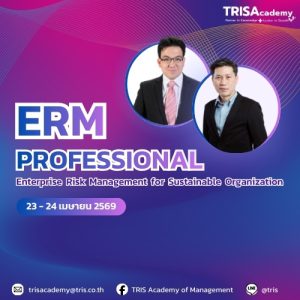 ERM Professional: Enterprise Risk Management for Sustainable Organization